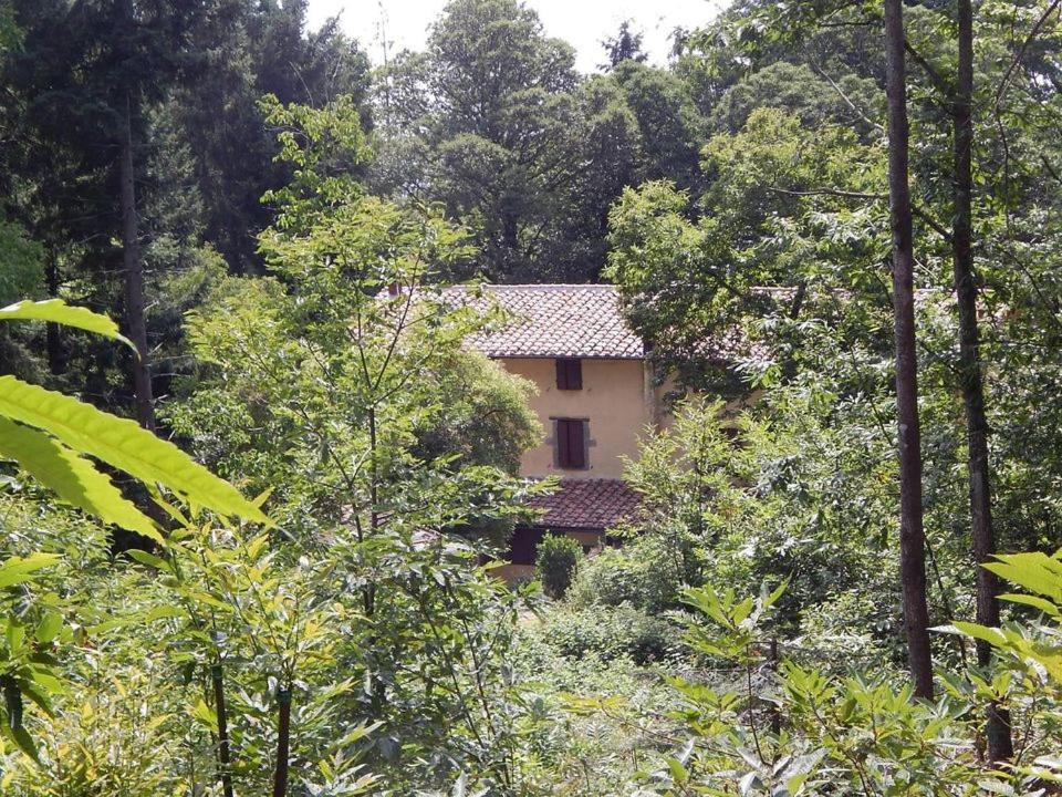 Fonte Magria Farm stay *